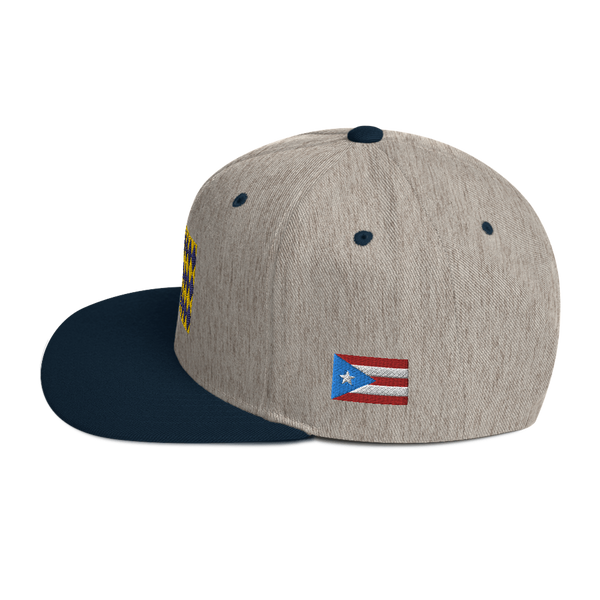 Arecibo Snapback Hat