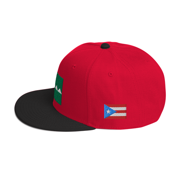 Salinas Snapback Hat